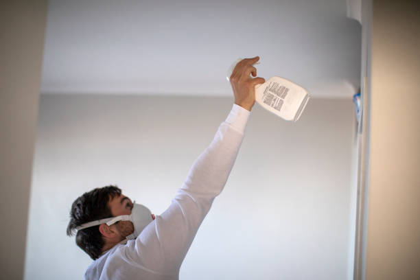 Best Best Mold Removal Companies  in Smethport, PA
