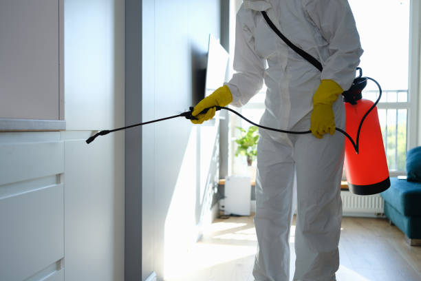 Crawl Space Mold Removal in Smethport, PA