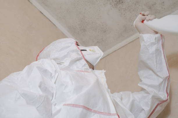 Best Mold Testing  in Smethport, PA